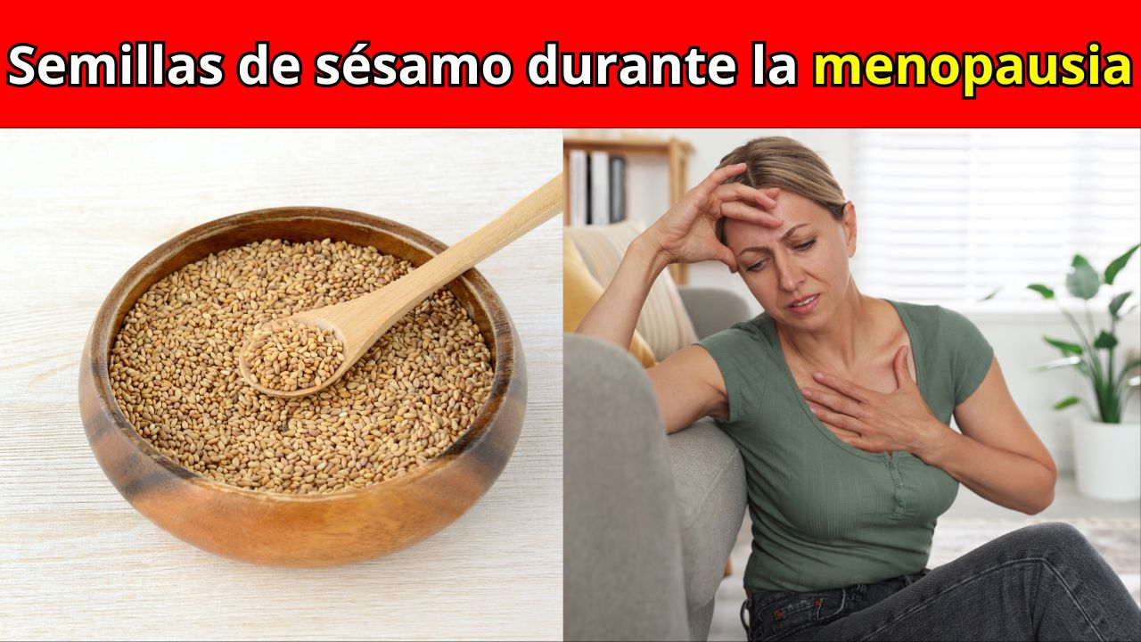 Sésamo en la Menopausia: Beneficios, Cantidad y Cómo Usarlo