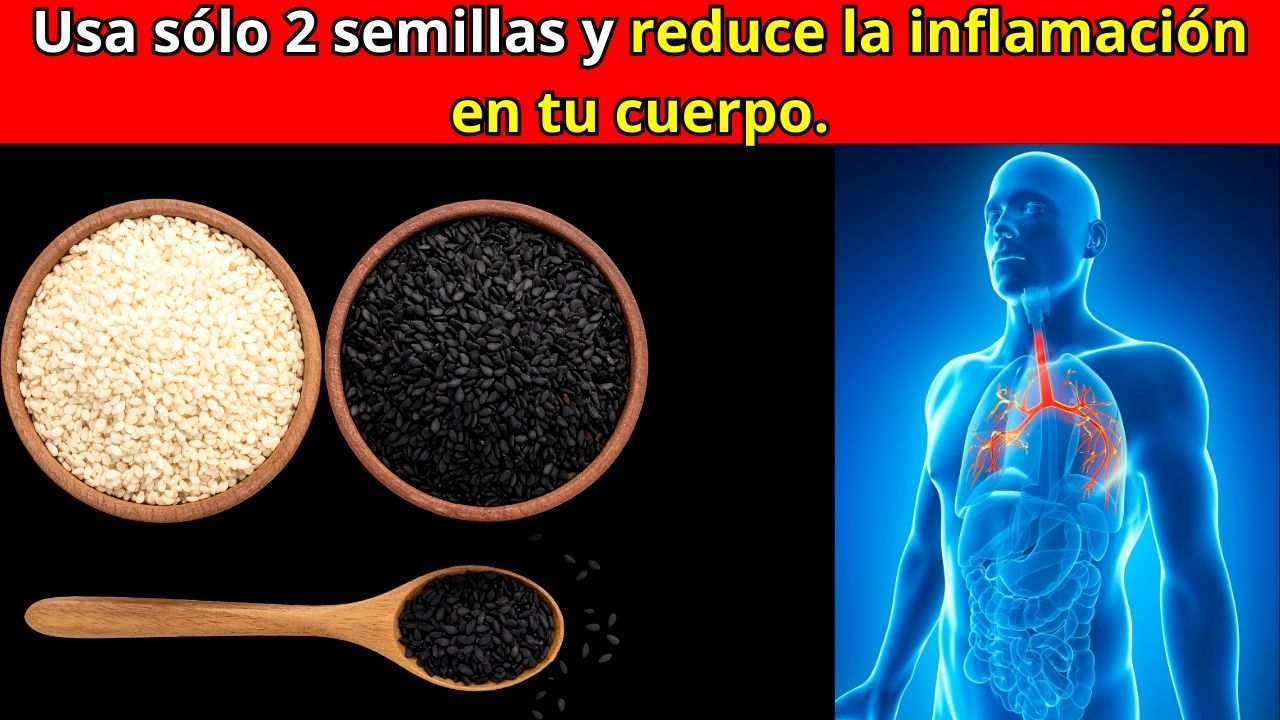Linaza y Chía: 2 Semillas Antiinflamatorias para Mujeres +40