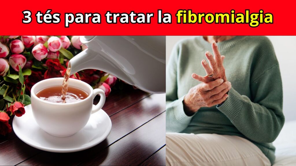 3 Tés para la Fibromialgia: Alivio Natural del Dolor y Mejor Sueño
