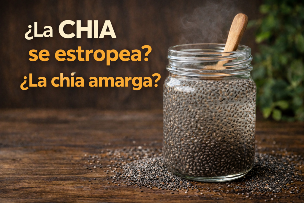 ¿La chía se estropea? Beneficios y conservación